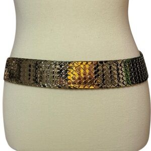 Metallic and Elastic Gold Fish Scale Belt